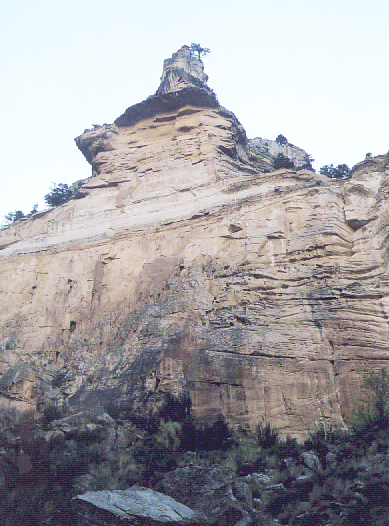 Coconino layer in Indian Hollow
