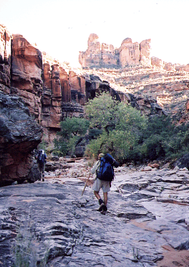 Supai layer in Indian Hollow