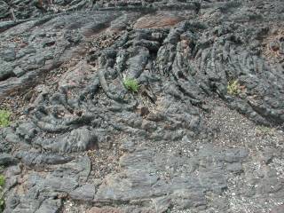 Ropey Pahoehoe Lava at Craters of the Moon National Monument
