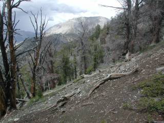 Ridgeline Leading down from Borah Peak