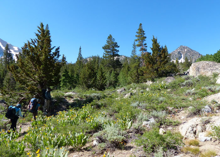 Gabbro_fr_trail